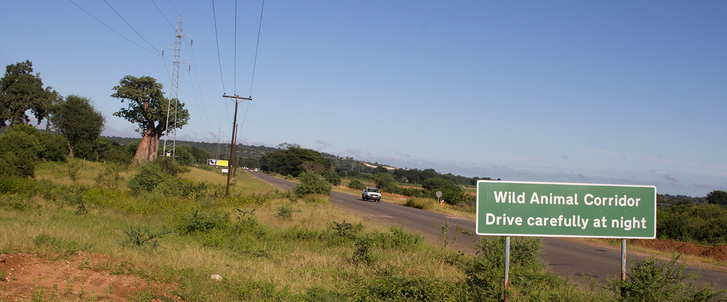A sign by the road that says "Wild Animal Corridor. Drive carefully at night"
